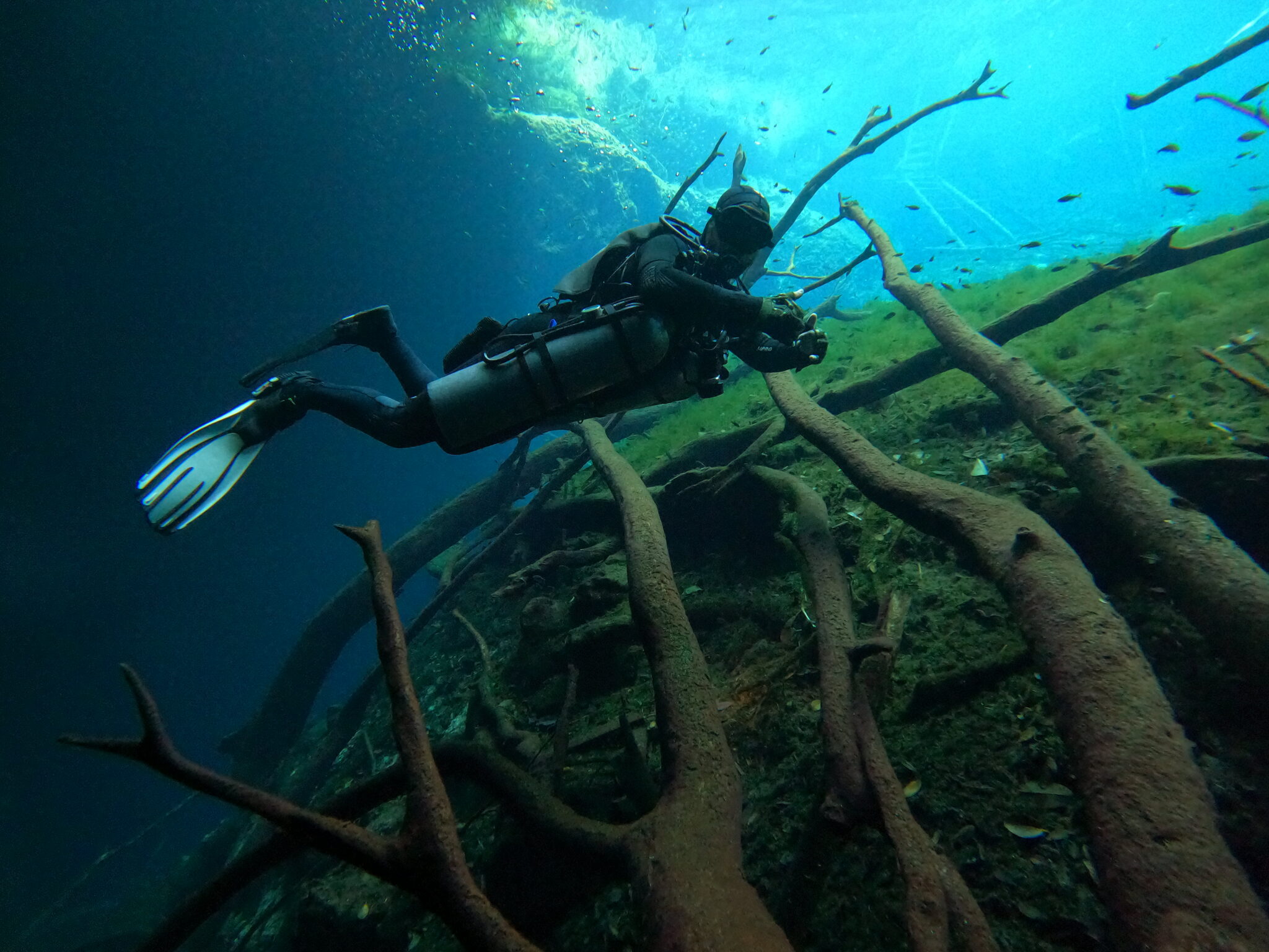 Buzo explorando las aguas turquesa de un cenote en la península de Yucatán