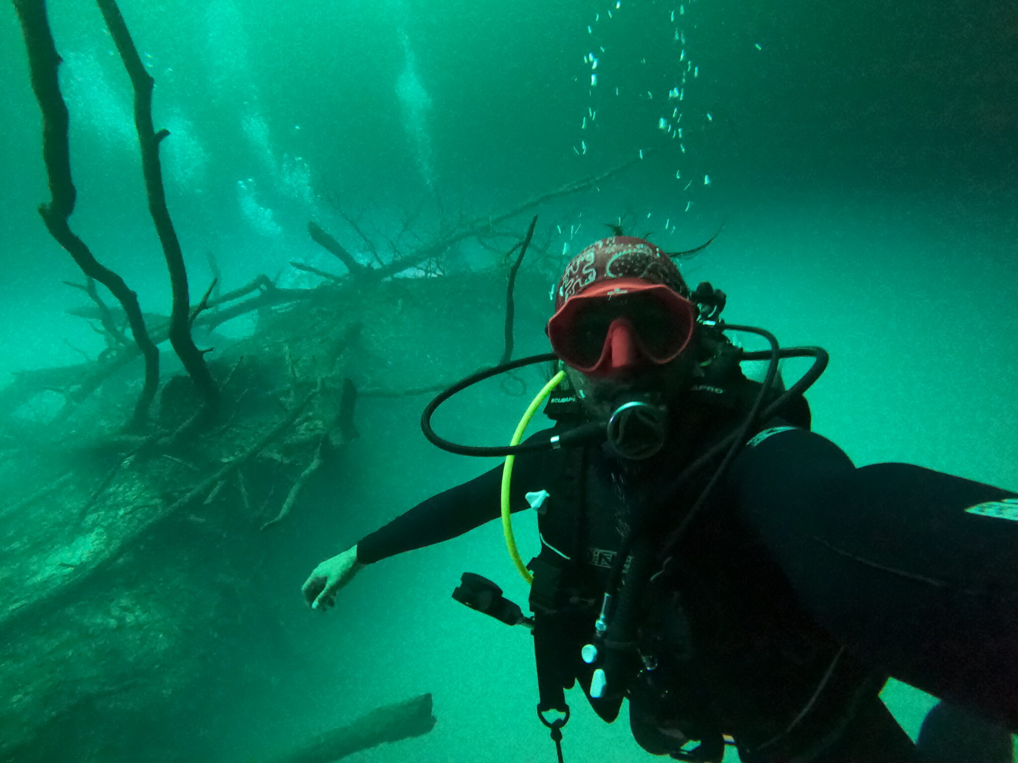 Diver exploring the roots and green water of a cenote in the Riviera Maya
