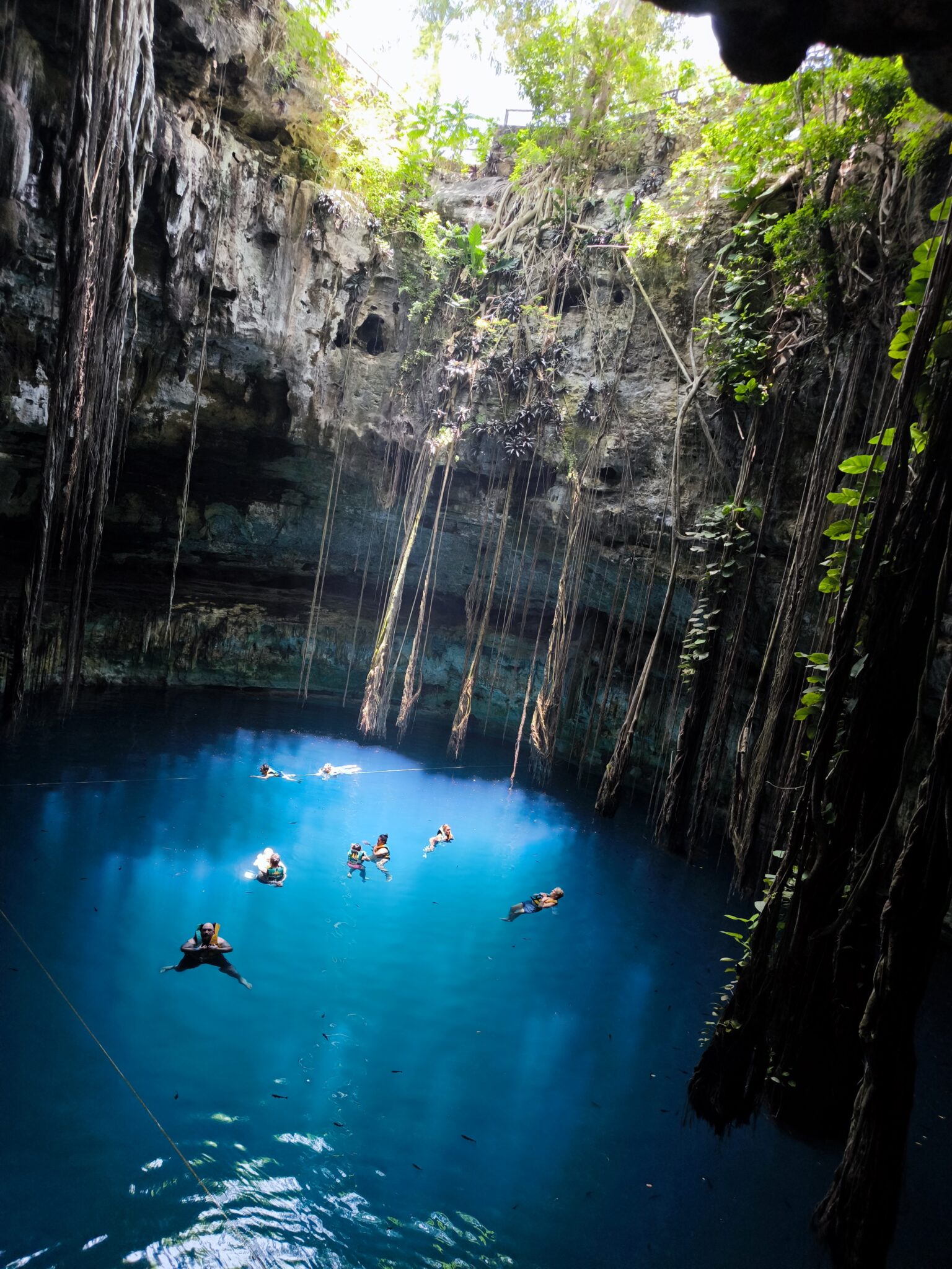 Sunlight falling into the blue water of a cenote in the Yucatán Peninsula